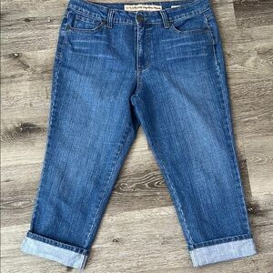 Vintage America Blue Ankle Cropped Jeans